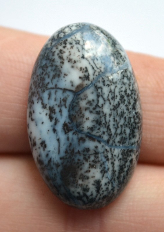 Кабошон из Дендритового опала №30