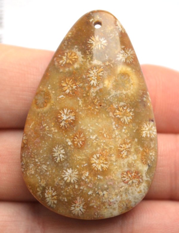 Подвеска из окаменелого коралла