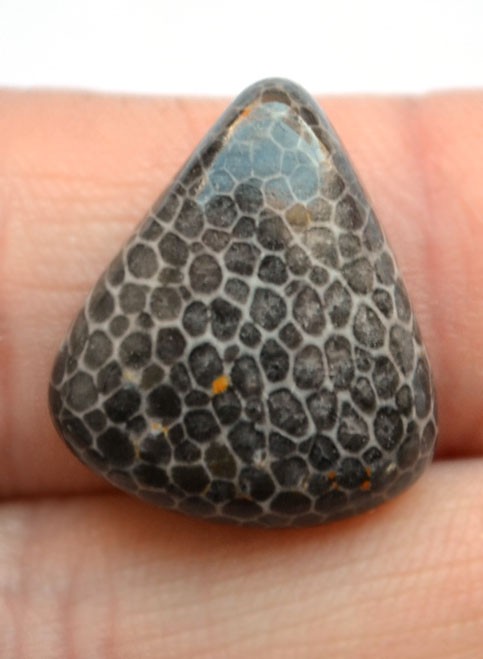 Кабошон из черного коралла №2