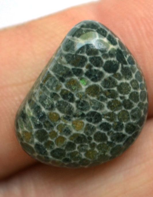 Кабошон из черного коралла №14