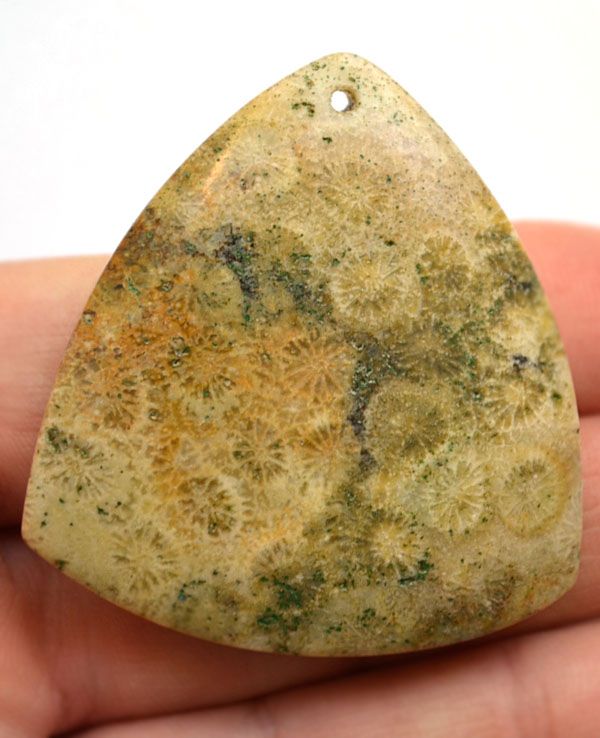 Подвеска из окаменелого коралла №3