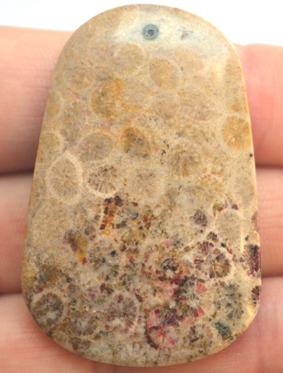 Уценка! Подвеска из окаменелого коралла №5