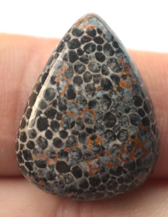 Кабошон из черного коралла №6