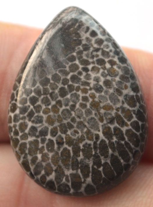 Кабошон из черного коралла №9