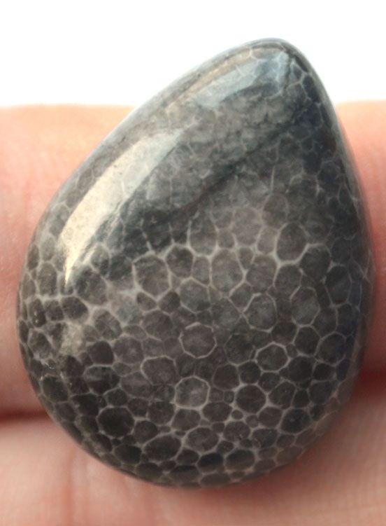 Кабошон из черного коралла №12