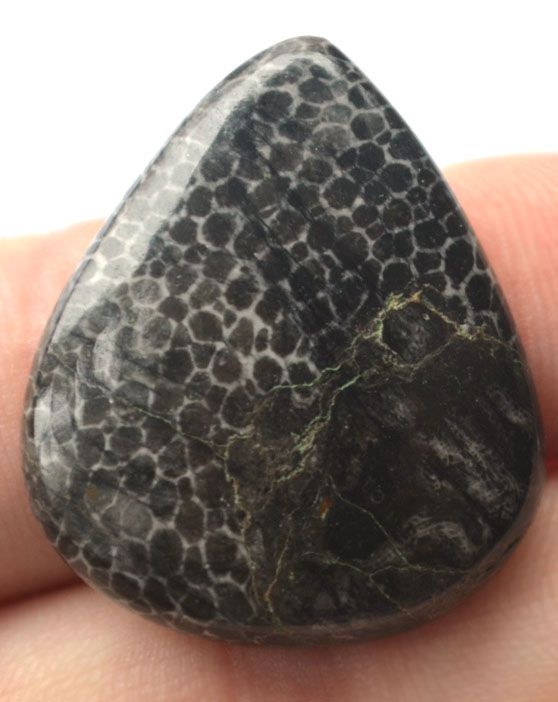 Кабошон из черного коралла №15