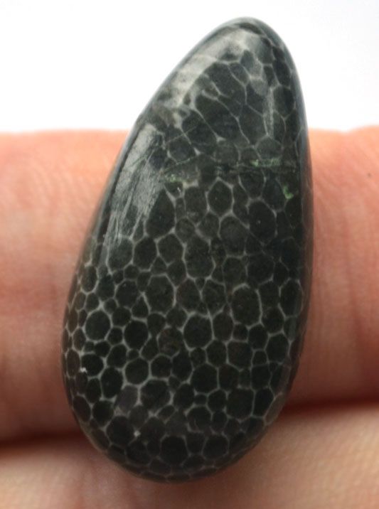 Кабошон из черного коралла №24