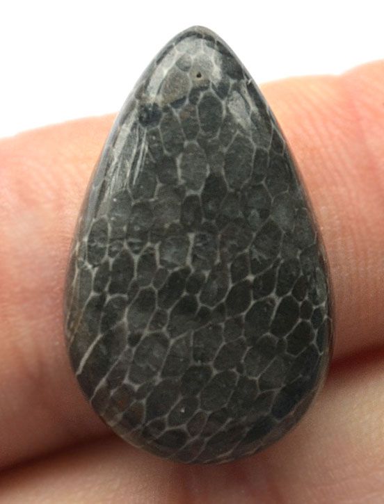 Кабошон из черного коралла №26